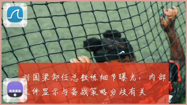 刘国梁卸任总教练细节曝光，内部文件显示与备战策略分歧有关