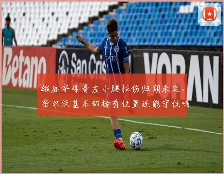 雄鹿字母哥左小腿拉伤归期未定，密尔沃基东部榜首位置还能守住吗？